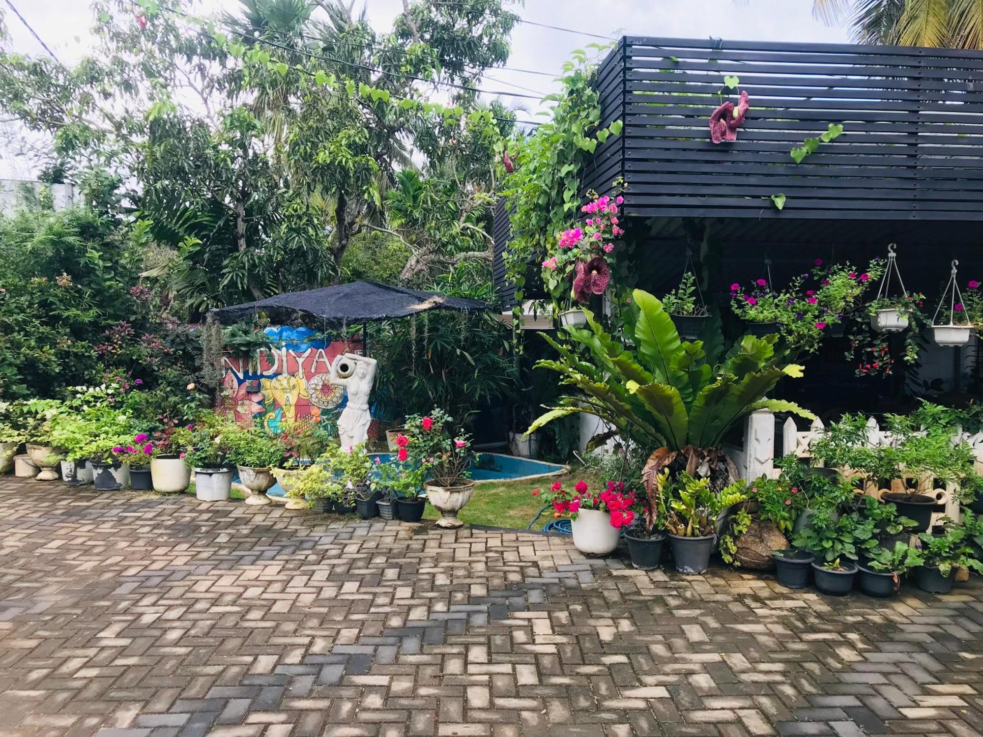 Pinidiya Resort Анурадхапура Екстериор снимка